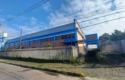 Barracão / Galpão / Depósito à venda no Cristo Rei, São Leopoldo 
