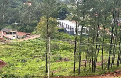 Terreno comercial à venda no Padre Eterno Seges, Santa Maria do Herval 