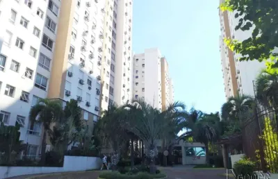 Apartamento com 2 quartos para alugar no Jardim Mauá, Novo Hamburgo 