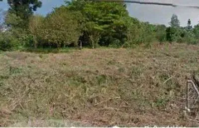 Terreno comercial à venda no Primavera, Novo Hamburgo 