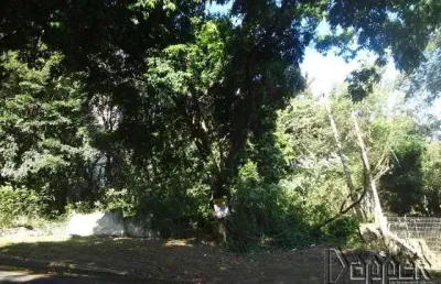 Terreno comercial à venda no Centro, Novo Hamburgo 