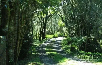 Terreno comercial à venda na Vila Suiça, Gramado 