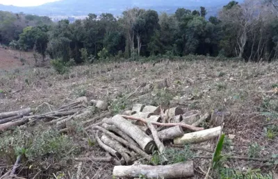 Terreno comercial à venda no Distrito Sede, Nova Hartz 