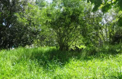 Terreno comercial à venda no Quatro Colônias, Campo Bom 