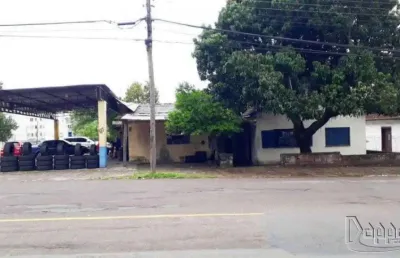 Terreno comercial à venda no Pátria Nova, Novo Hamburgo 