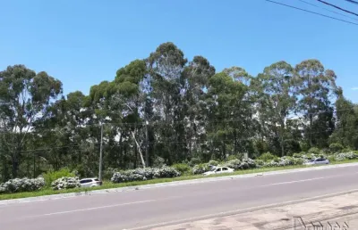 Terreno comercial à venda no Avenida Central, Gramado 