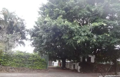 Terreno comercial à venda na Vila Rosa, Novo Hamburgo 