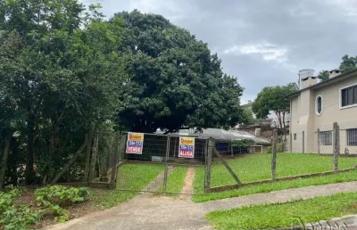 Casa com 3 quartos para alugar no Petrópolis, Novo Hamburgo 