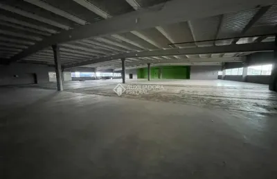 Ponto comercial para alugar na avenida caetano silveira, 101, jardim eldorado, palhoça, 1914 m2 por r$ 61.860