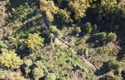Área rural à venda no são cristóvão, flores da cunha-rs.