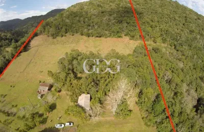 Sítio à venda no caminho da linha bonita em direção ao panelão, em gramado - rs.