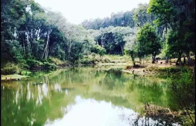 Chácara / sítio com 2 quartos à venda no Centro, Rio Negro 