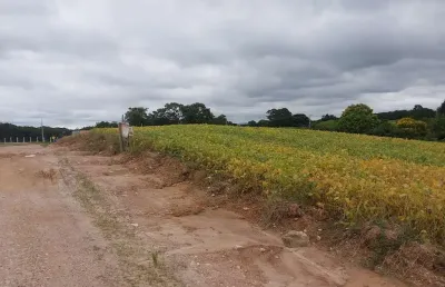 Chácara / sítio à venda no Centro, Araucária 