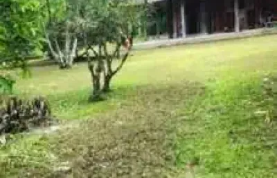 80.000m2. /rio fundos / eufrazina.pgua /ideal investidor