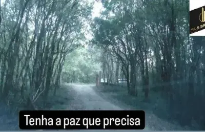 Chácara / sítio com 2 quartos à venda na Estrada Da  Lagoa Gorda  Lapa, Mariental, Lapa