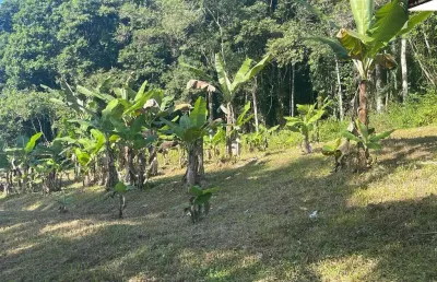 Chácara / sítio à venda na Zona Rural, Morretes 