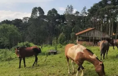 16.200m2/mini haras 8 baias/3 lagos/ideal investidor