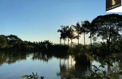 177.000m2/5 km do centro/plantação pupunha/ideal investidor