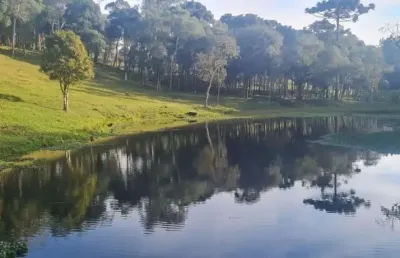 Sítio / chácara 2 quartos para venda no bairro areia branca dos assis em mandirituba