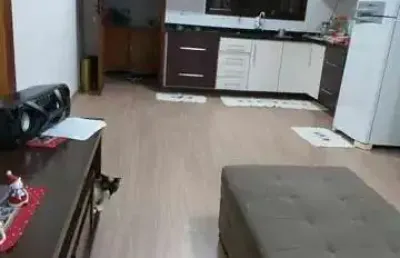 Casa com 2 quartos à venda na Rua Helena Piekarski Pinto, 794 - ARAU, Fazenda Velha, Araucária