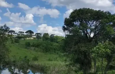 20.000 m2/perto estancia betania/ideal hotel fazenda/para investidores