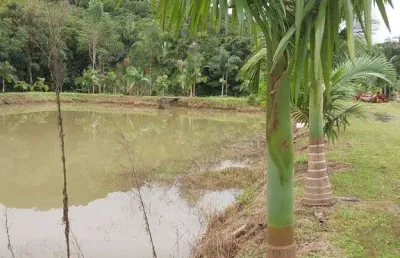 34.936m2/terreno plano/22 km ate matinho/caioba/700 m cachoeira quintilha