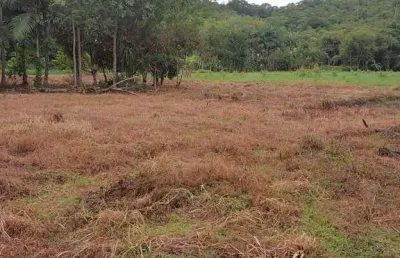 54.000m2/perto cachoeira quintilha/15 km de paranaguá/21 km matinhos