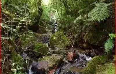 40.781/estrada são joão povinho/vista escarpas da serra