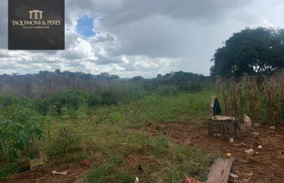 Lote de  446 metros, murado, aterrado e com portão!