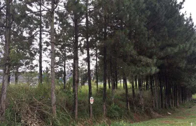 Terreno comercial para alugar na Rua Cristal, sn, Jardim Jóia, Arujá