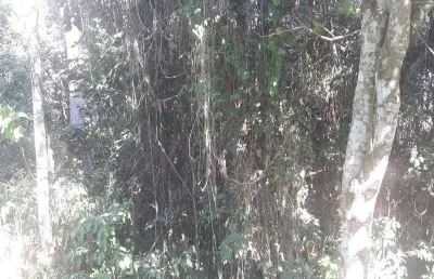 Terreno em condomínio fechado à venda na Rua Maranhão, QUADRA 23, Arujázinho I, II e III, Arujá