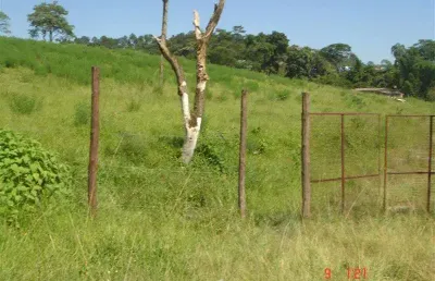 Terreno à venda na Estrada do Corredor, S/N, Jardim Paineira, Itaquaquecetuba