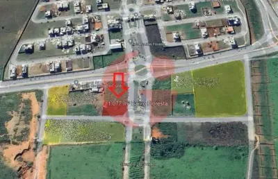 Terreno plano para venda com 1.077 m² no bairro da floresta