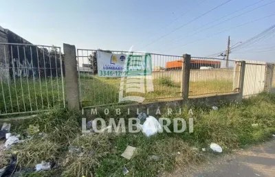 Terreno para alugar, 525.00 m2 por r$1400.00  - tatuquara - curitiba/pr