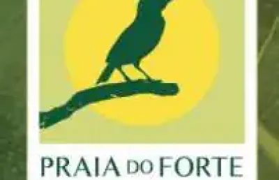 Casa em condomínio para venda em mata de são joão, praia do forte, 2 suítes, 3 banheiros, 3 vagas