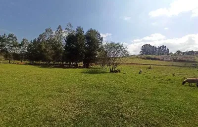 Terreno à venda na linha colonia cella, interior, chapecó por r$ 900.000