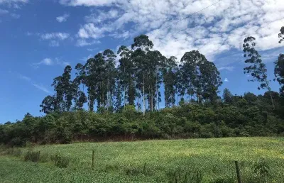 Terreno à venda na linha tafona, interior, chapecó por r$ 1.915.000
