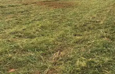 Chácara / sítio à venda no Bairro dos Pires, Limeira 