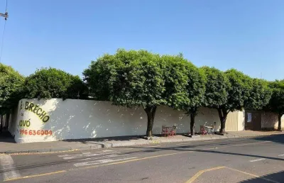Casa com 3 quartos à venda na Vila Clementina, São José do Rio Preto 