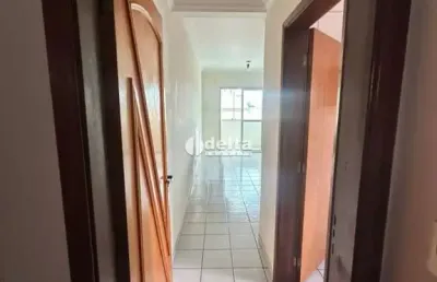 Apartamento para venda em uberlândia, santa mônica, 2 dormitórios, 1 suíte, 2 banheiros, 2 vagas