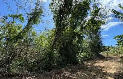 Terreno à venda em mulungu/ce fica a 10km de guaramiranga