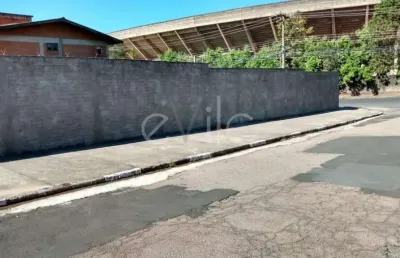Terreno comercial para alugar na avenida guarani, 000, jardim guarani, campinas por r$ 4.000