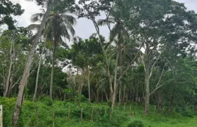 Terreno à venda na abrantes, abrantes, camaçari por r$ 3.600.000