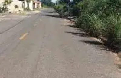 Ótima área para investimento a venda no distrito de pascoal ramos