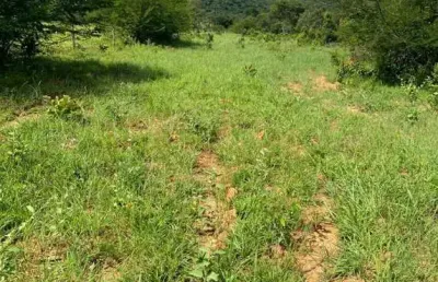 Fazenda à venda na Zona Rural, Taipas do Tocantins 