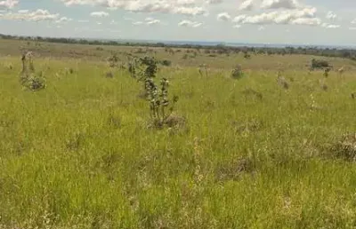 Fazenda à venda na Avenida Tenente-Coronel Duarte, Centro Sul, Cuiabá