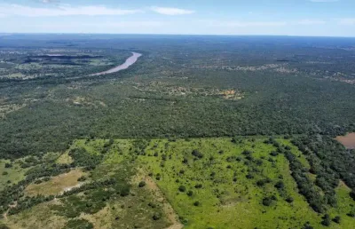 Fazenda dupla aptidão, 950 hectares, a 60 km de cuiabá/mt
