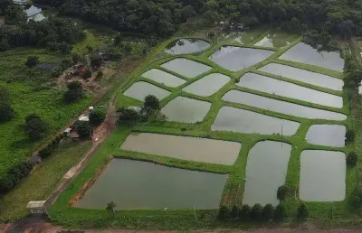 Chácara / sítio à venda na Zona Rural, Nova Olímpia 