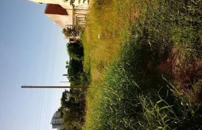 Chácara com 23 hectares, arável, casa antiga, muito verde e lagoa em glorinha..