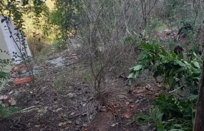 Terreno 12×25m, escriturado, ideal para moradia ou pavilhão  , bem localizado.